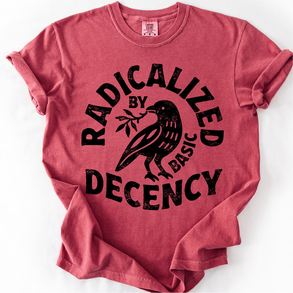 Radicalized By Basic Decency Unisex Comfort Colors® T-shirt,