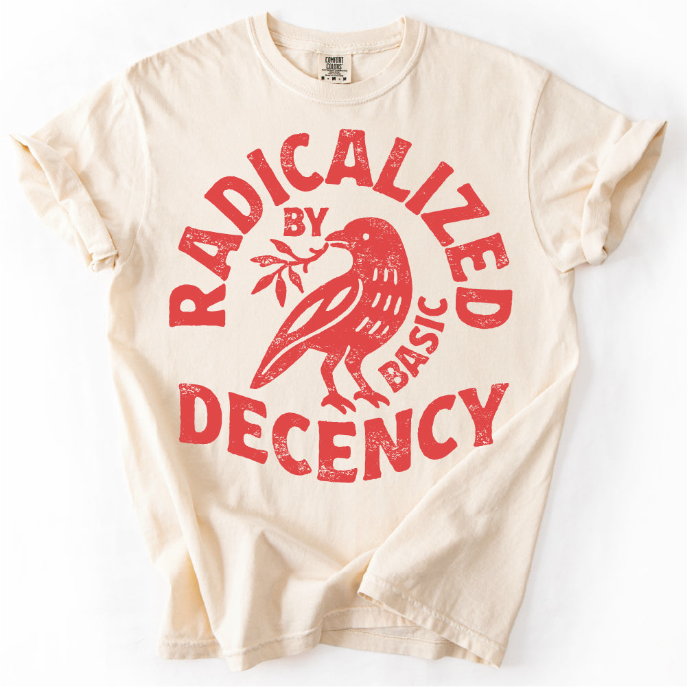 Radicalized By Basic Decency Unisex Comfort Colors® T-shirt,