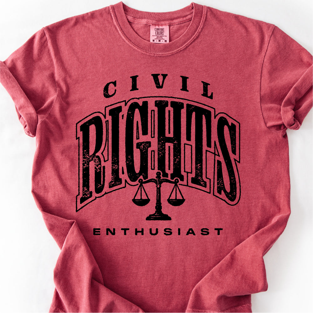 Civil Rights Enthusiast Tshirt, Social Justice Gift, Political Activist Shirt,