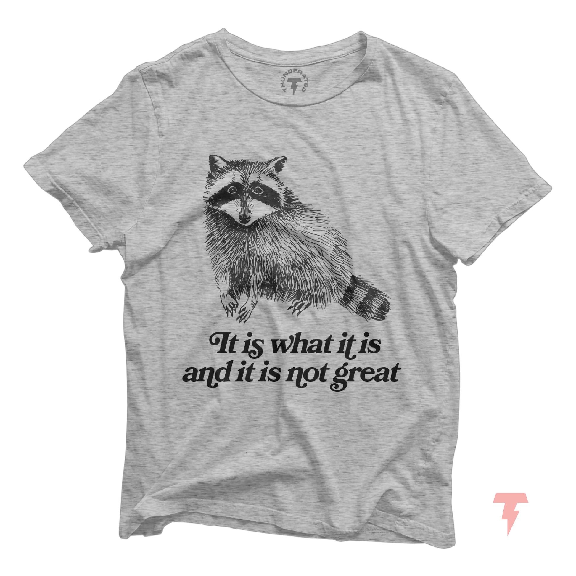 Funny raccoon t-shirt with sarcastic quote 'It is what it is and it is not great', Y2K style, lightweight cotton, casual wear.