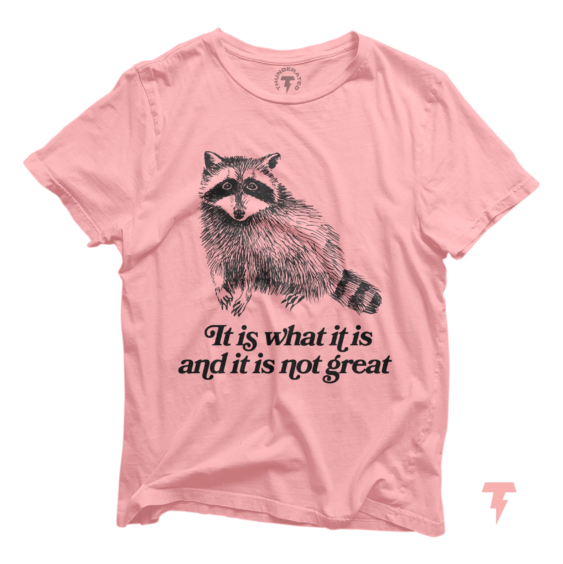 Funny raccoon T-shirt with 'It Is What It Is' sarcastic quote, Y2K style pink tee, animal graphic, lightweight cotton, humorous design.
