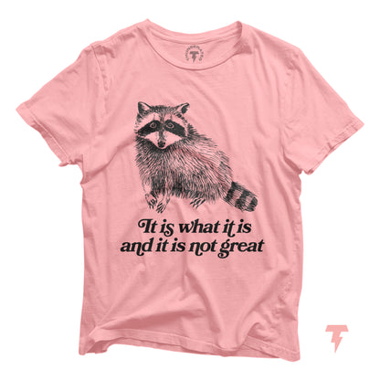 Funny raccoon T-shirt with 'It Is What It Is' sarcastic quote, Y2K style pink tee, animal graphic, lightweight cotton, humorous design.