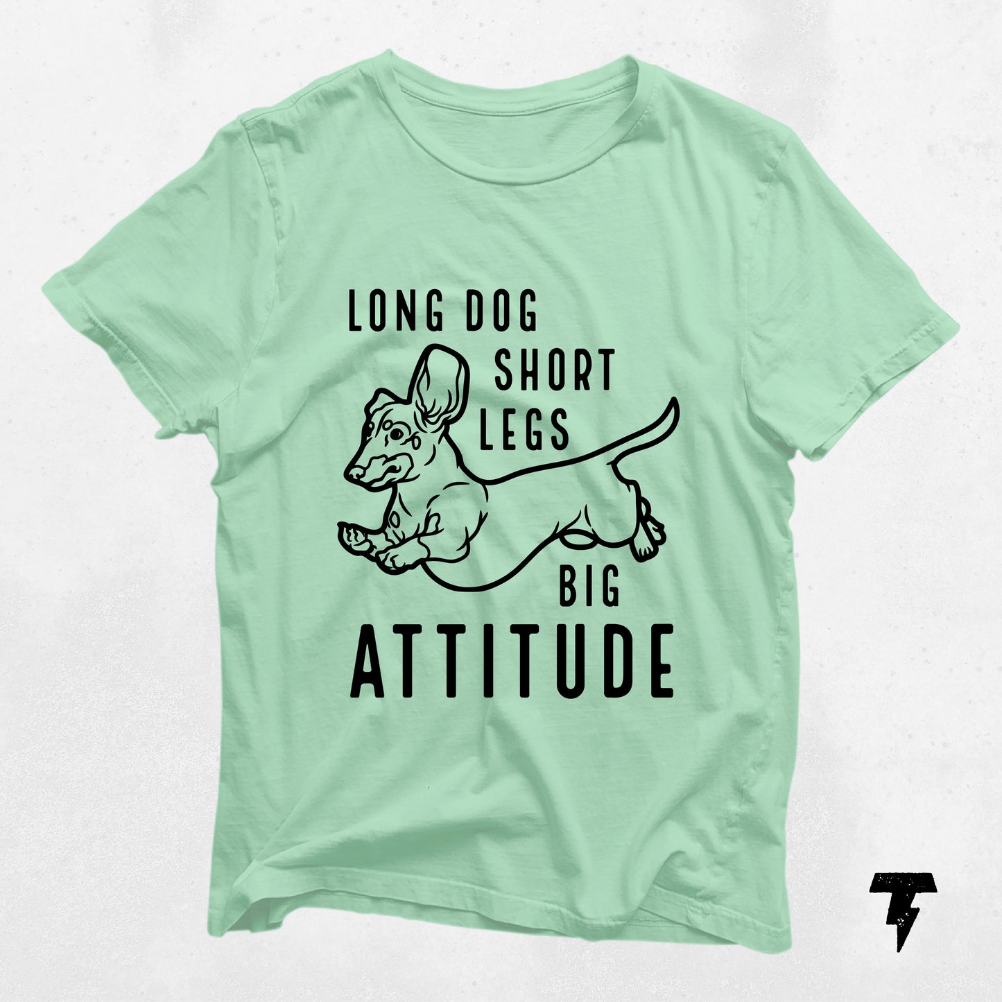 Mint green dachshund shirt featuring 'Long Dog, Short Legs, Big Attitude' text, perfect for dog moms and doxie lovers.