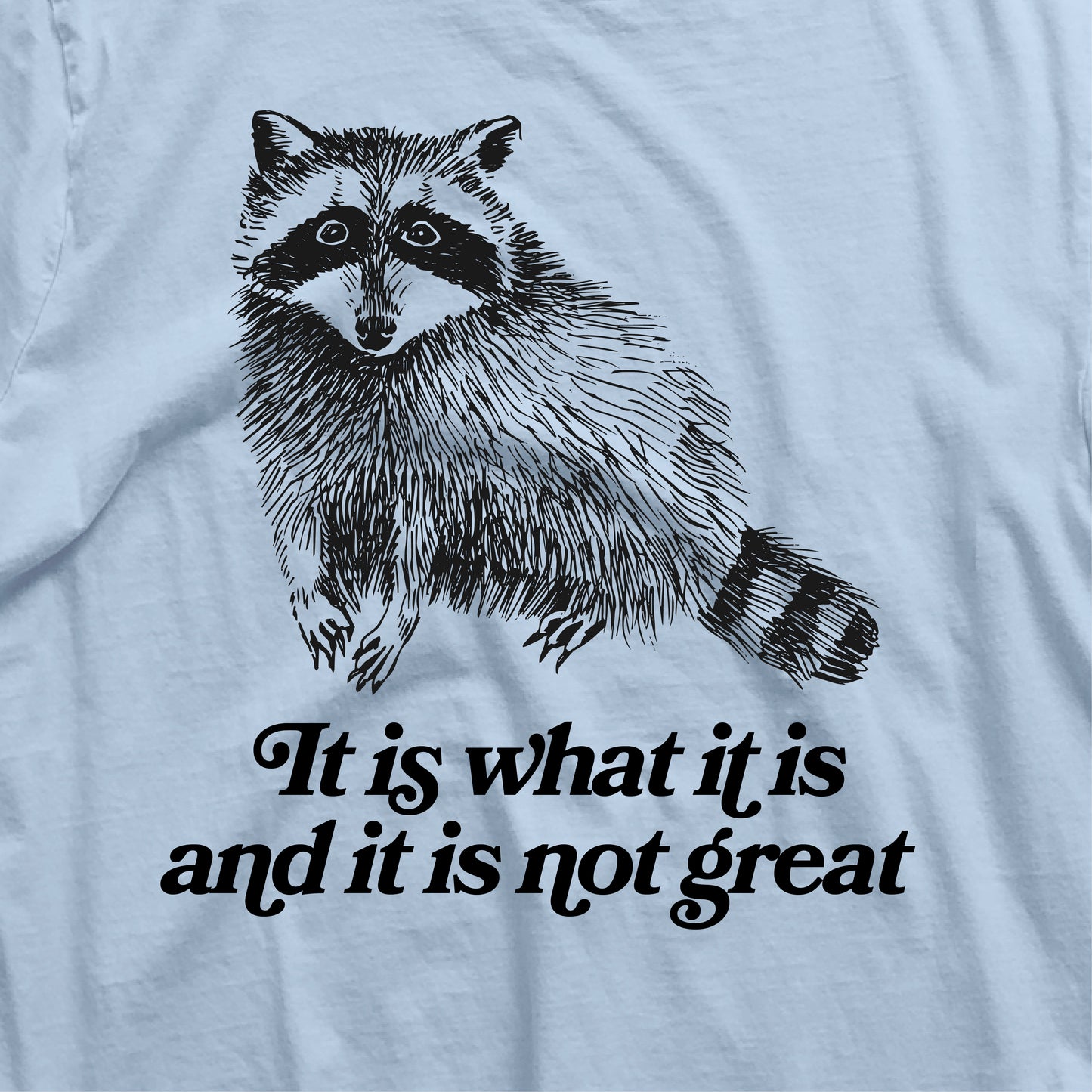 Funny raccoon t-shirt with 'It Is What It Is and It Is Not Great' quote, Y2K style sarcastic animal graphic tee.