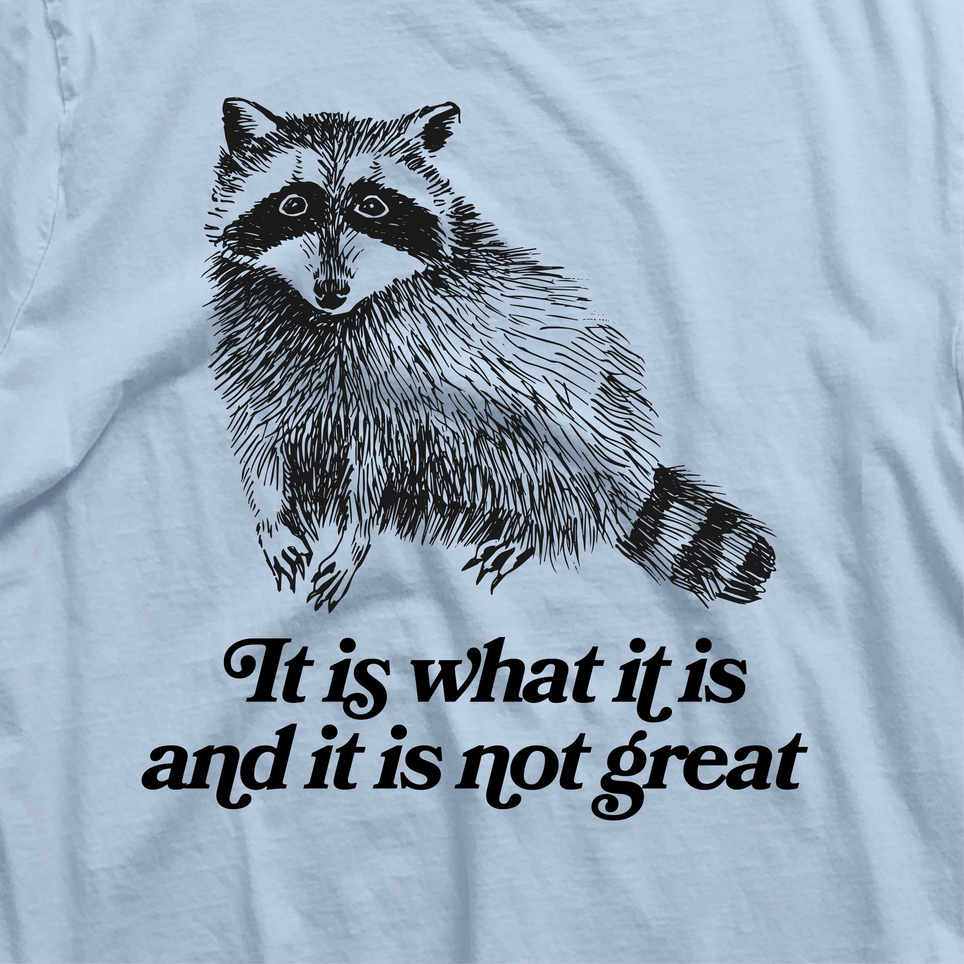 Funny raccoon t-shirt with 'It Is What It Is and It Is Not Great' quote, Y2K style sarcastic animal graphic tee.