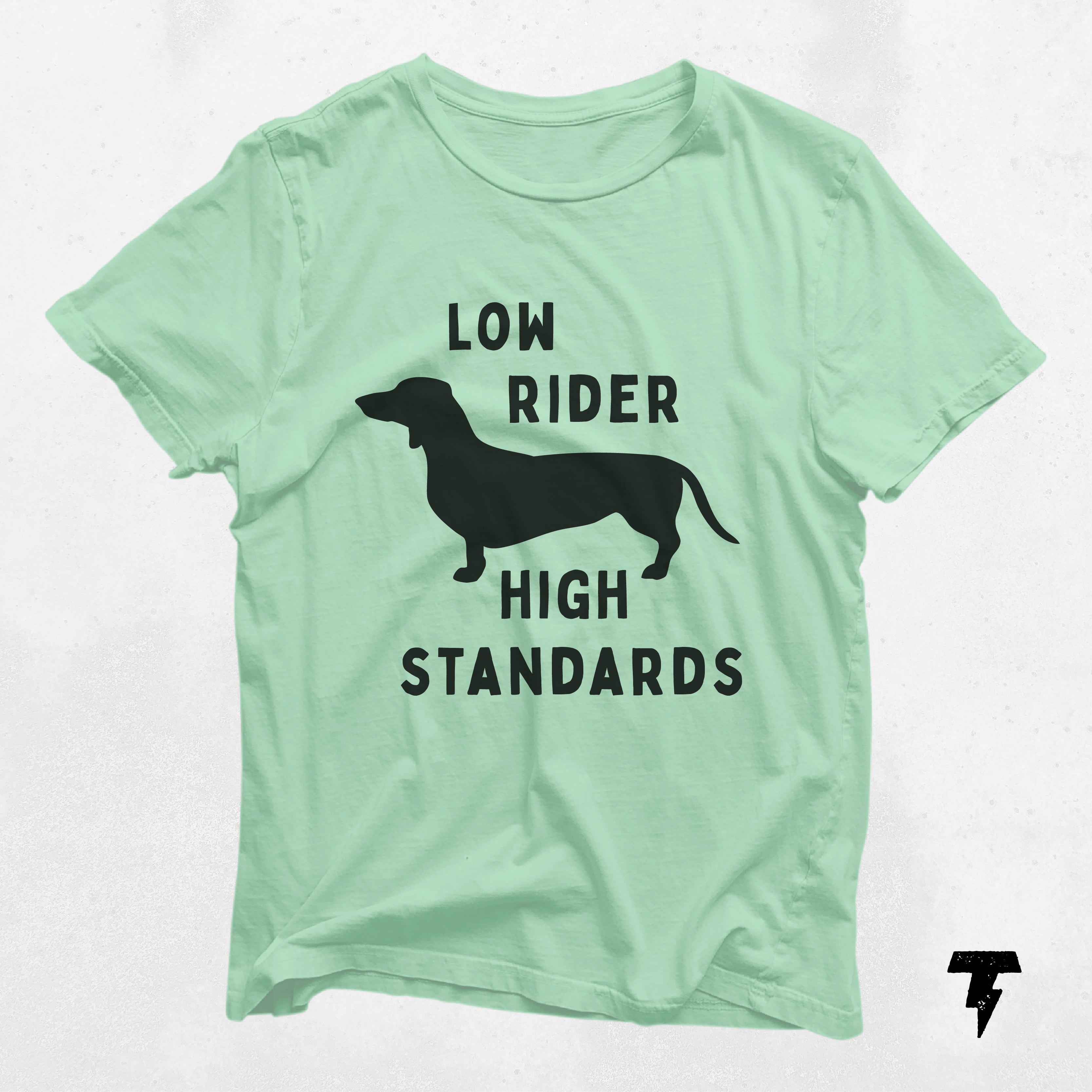 a t - shirt that says low rider, high standards