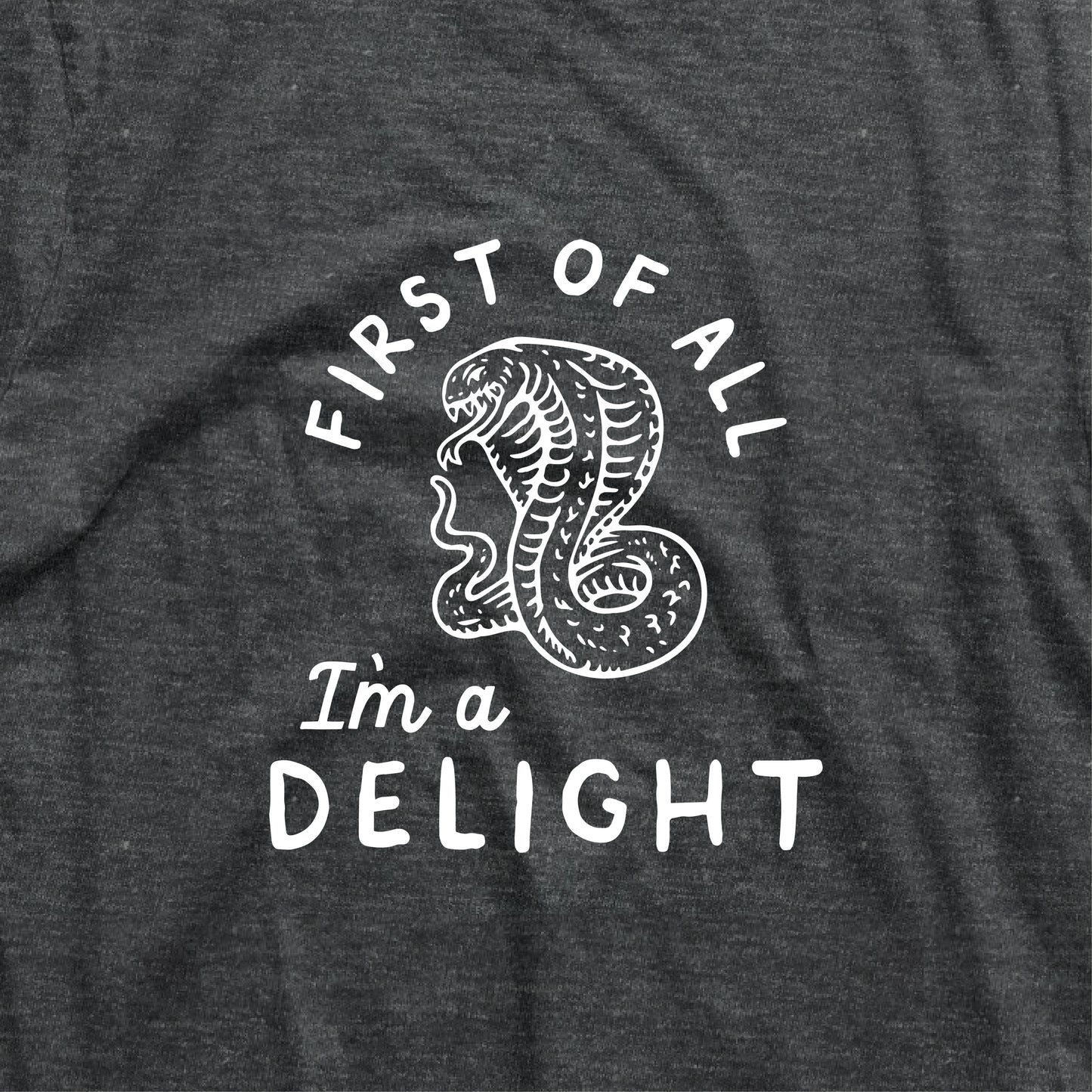 Charcoal t-shirt with 'First of all I'm a delight' and cobra graphic, witty design.