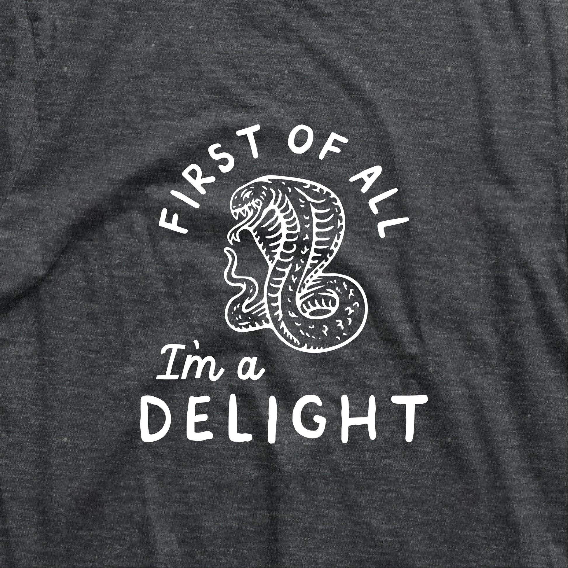 Charcoal t-shirt with 'First of all I'm a delight' and cobra graphic, witty design.