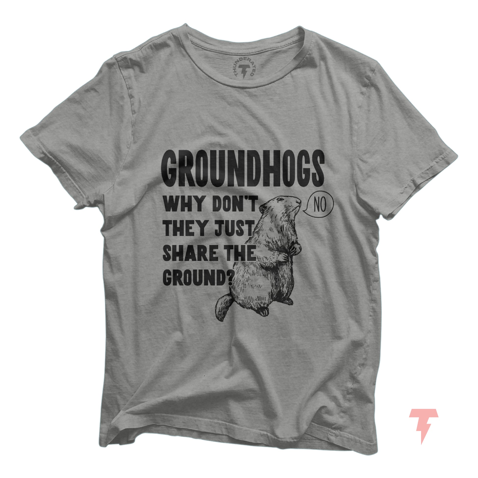 Funny Groundhog Day shirt with the text 'Groundhogs Why Don't They Just Share the Ground?' featuring a cartoon groundhog.
