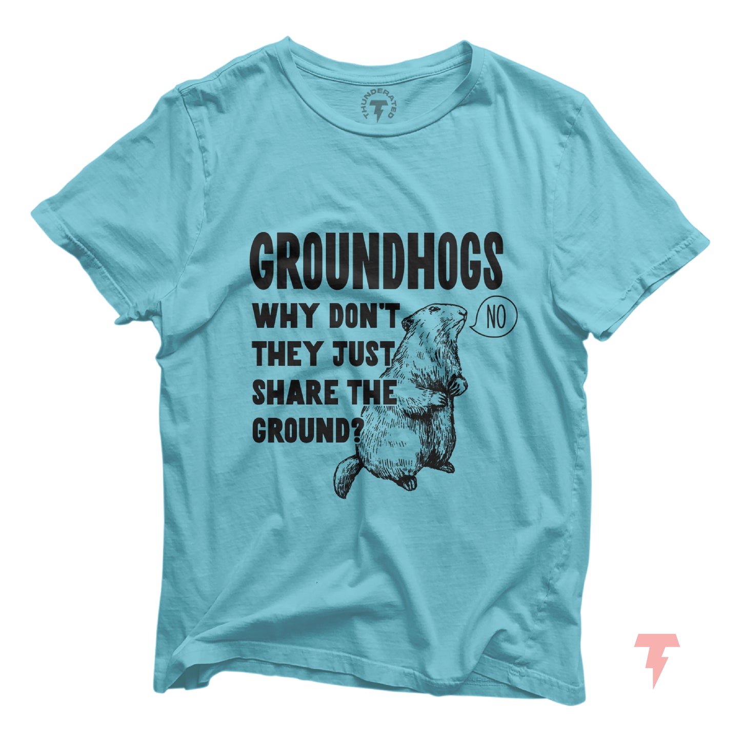 Funny animal Groundhog Day shirt with deadpan humor message: 'Groundhogs, why don't they just share the ground?' on a blue tee.