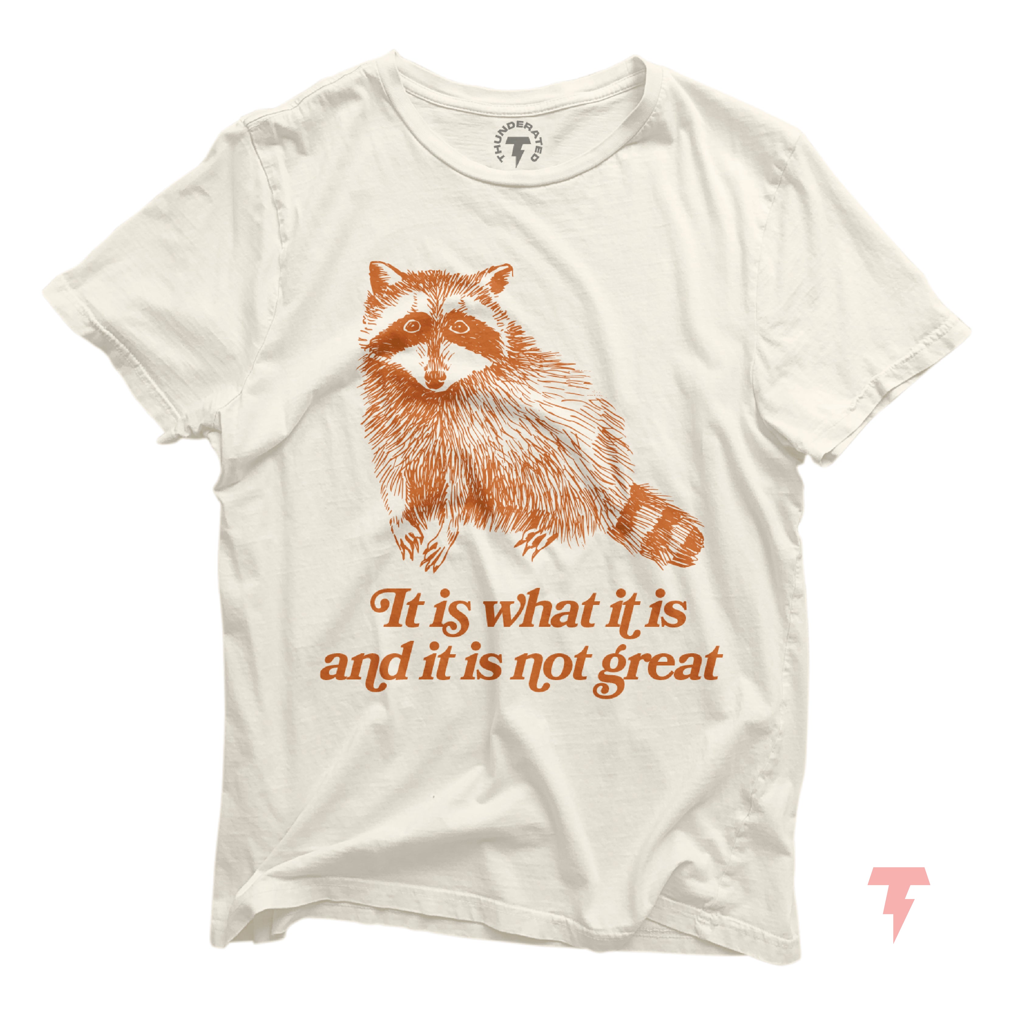 a white t - shirt with a raccoon saying it is what it is