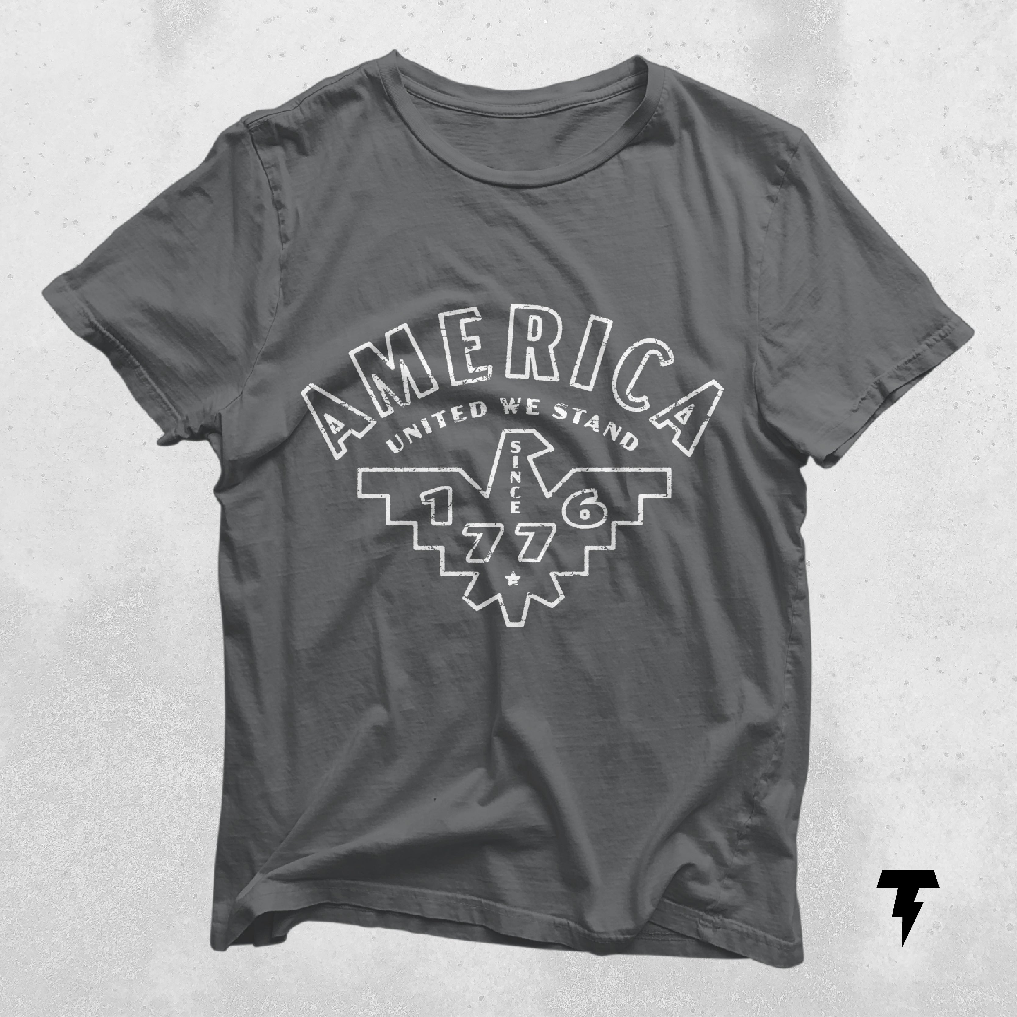 a gray t - shirt with the words america printed on it