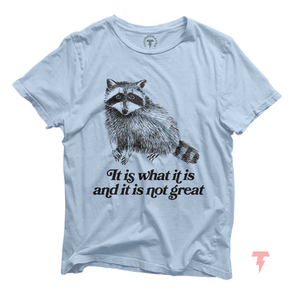 Funny raccoon graphic T-shirt with 'It is what it is and it is not great' text, Y2K style, blue cotton tee, sarcastic animal design.